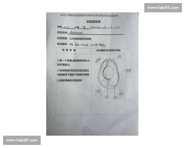 关于完善追加处罚措施的探索与实践分析